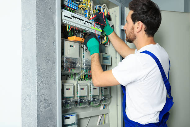 Best Electric Panel Repair  in Miles, TX
